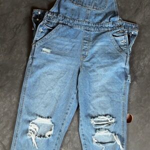 Stylish Blue Arizona Jean Co. Overalls